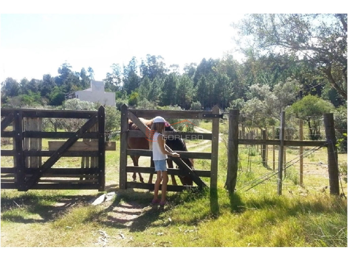 Laguna del Sauce - GoPunta - Portal Inmobiliario de Punta del Este - Maldonado