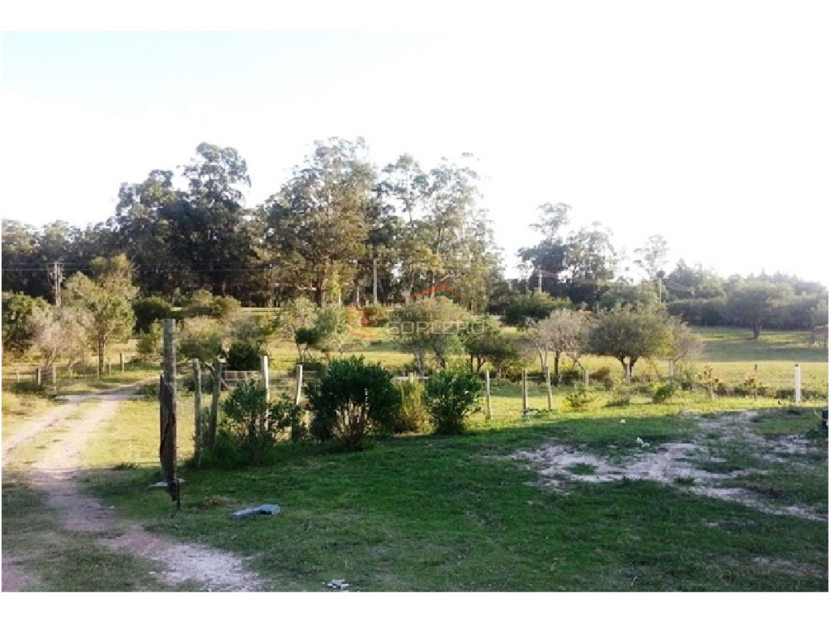 Laguna del Sauce - GoPunta - Portal Inmobiliario de Punta del Este - Maldonado