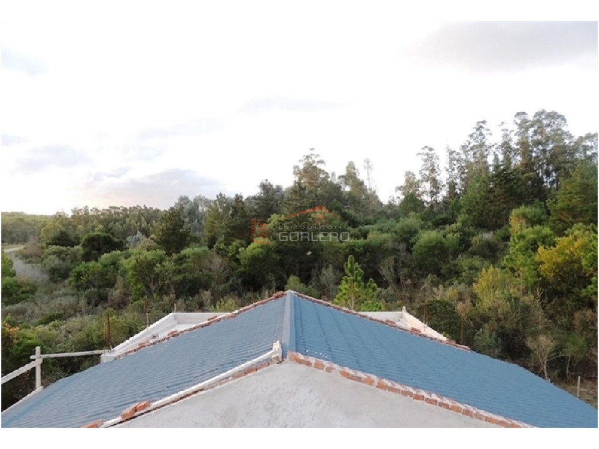 Laguna del Sauce - GoPunta - Portal Inmobiliario de Punta del Este - Maldonado
