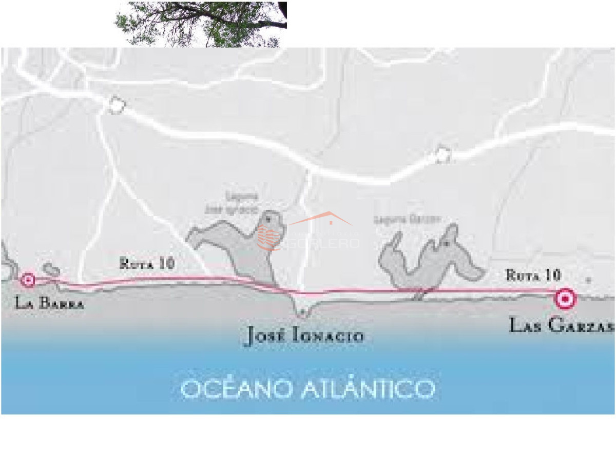 Las Garzas - GoPunta - Portal Inmobiliario de Punta del Este - Maldonado