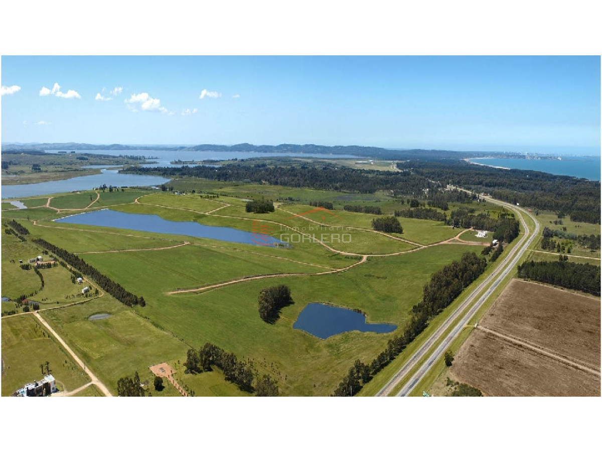 Laguna de los Cisnes - GoPunta - Portal Inmobiliario de Punta del Este - Maldonado