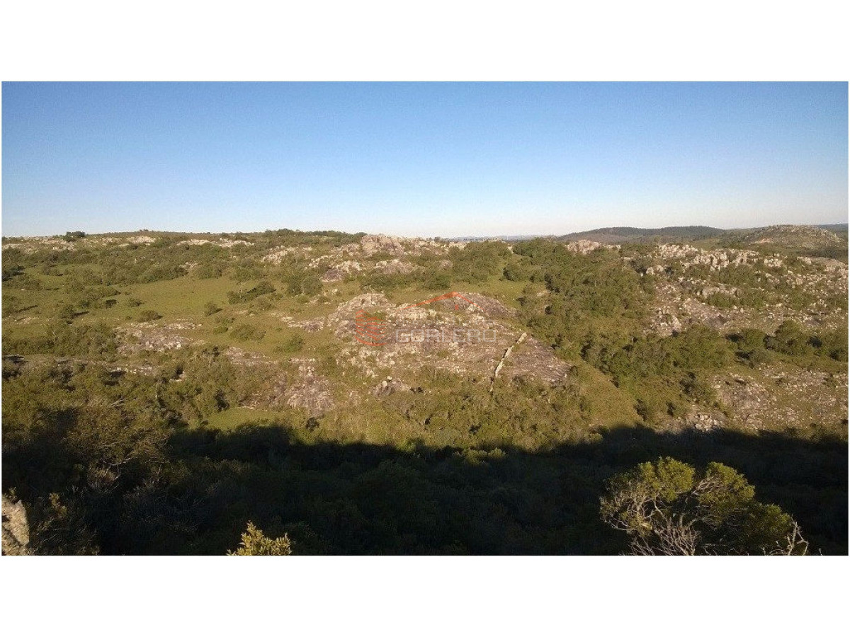 Chacra en    Punta del Este - GoPunta - Portal Inmobiliario de Punta del Este - Maldonado