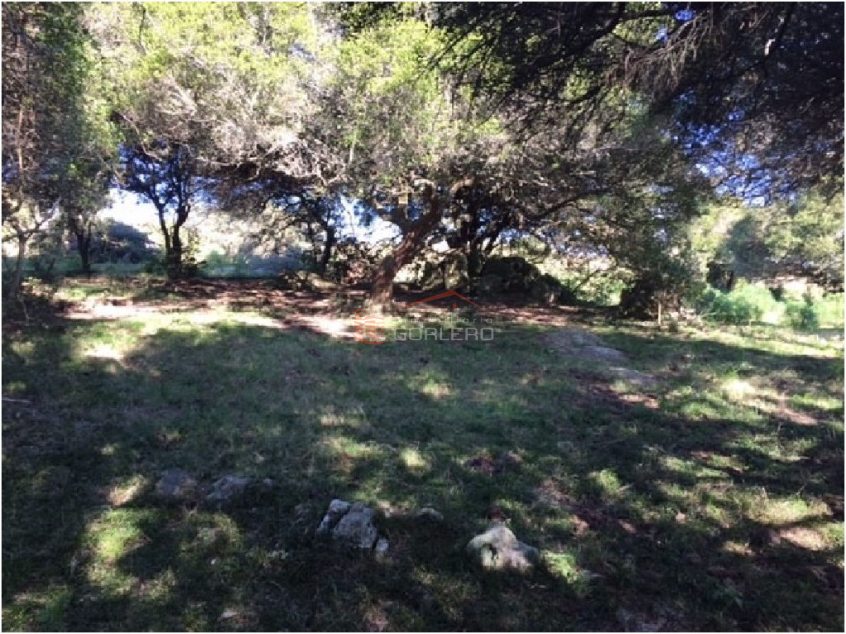 Chacra en    Punta del Este - GoPunta - Portal Inmobiliario de Punta del Este - Maldonado