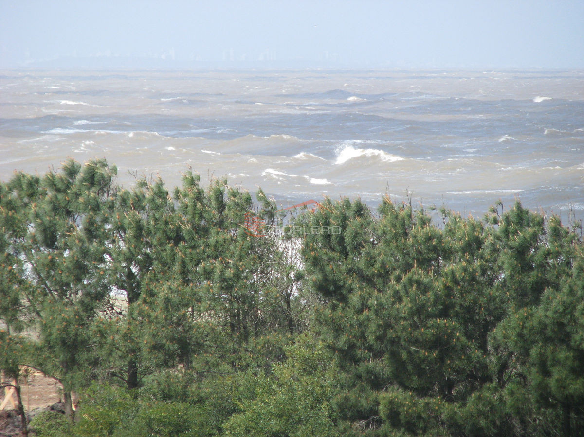 Chacra en    Punta del Este - GoPunta - Portal Inmobiliario de Punta del Este - Maldonado
