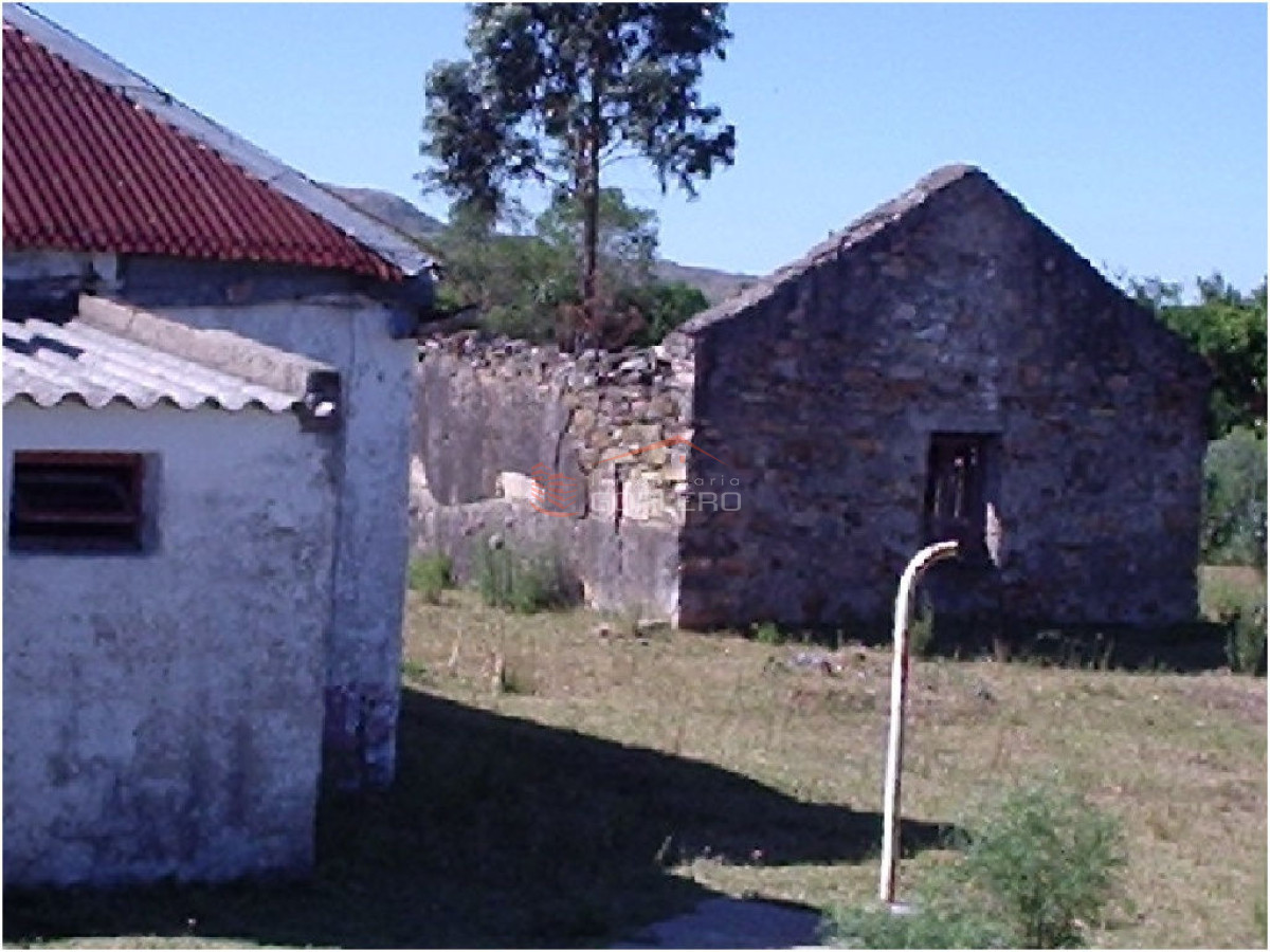 Chacra en    Punta del Este - GoPunta - Portal Inmobiliario de Punta del Este - Maldonado