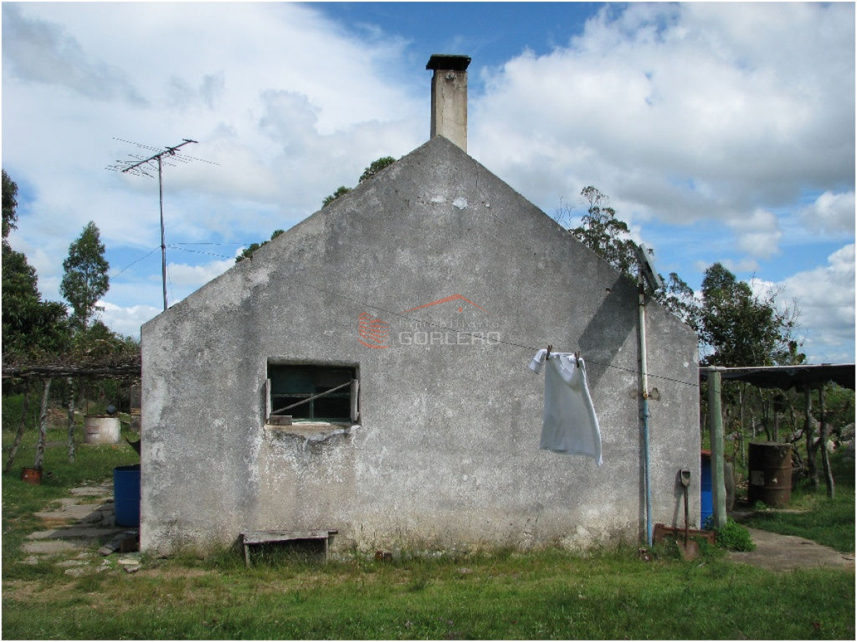 Chacra en    Punta del Este - GoPunta - Portal Inmobiliario de Punta del Este - Maldonado
