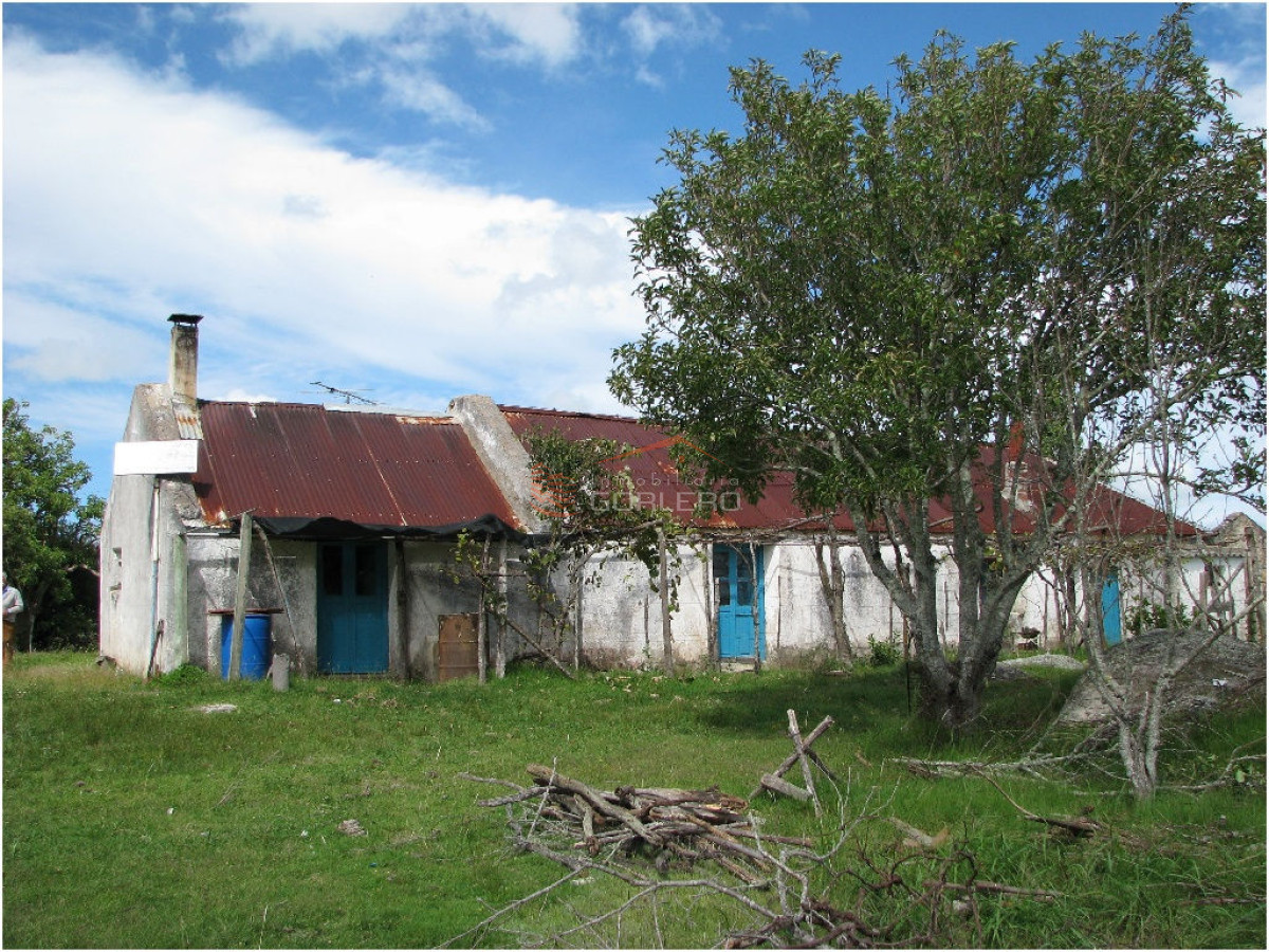 Chacra en    Punta del Este - GoPunta - Portal Inmobiliario de Punta del Este - Maldonado