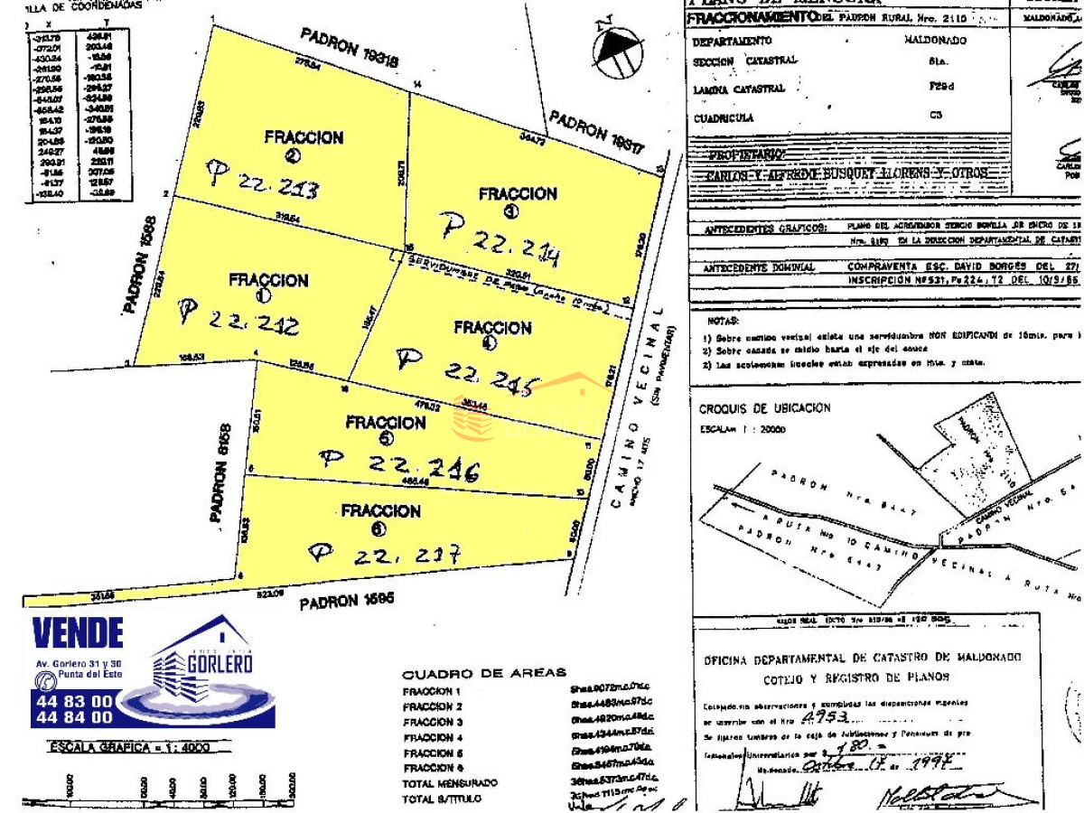 Chacra en Punta del Este 5 HAS - GoPunta - Portal Inmobiliario de Punta del Este - Maldonado
