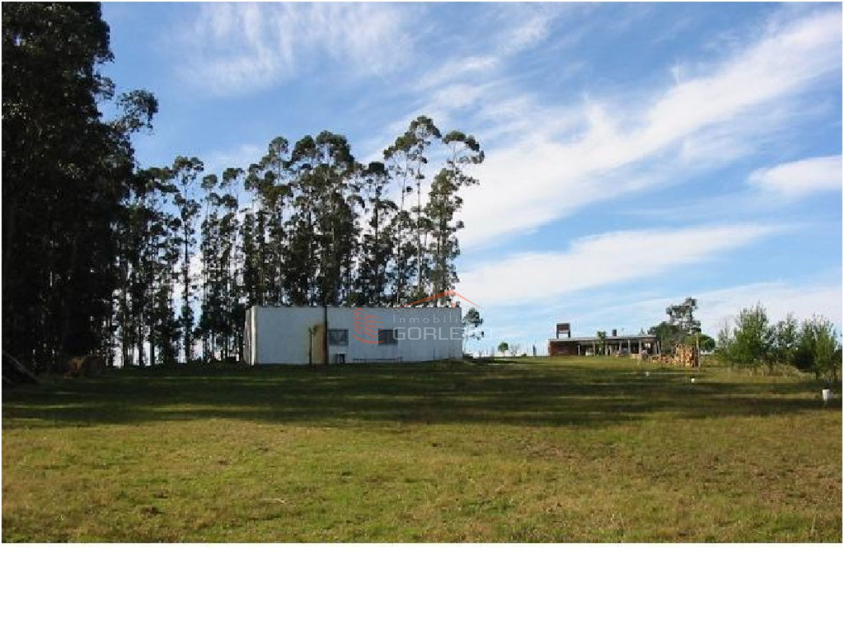 Chacra en    Punta del Este - GoPunta - Portal Inmobiliario de Punta del Este - Maldonado