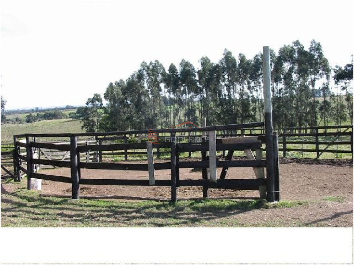 Chacra en    Punta del Este - GoPunta - Portal Inmobiliario de Punta del Este - Maldonado