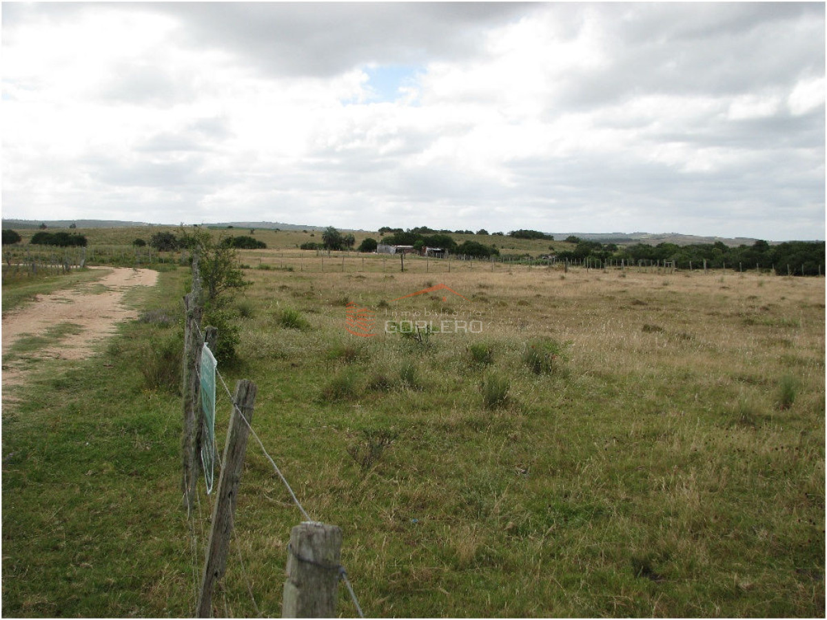 Chacra en GARZON - GoPunta - Portal Inmobiliario de Punta del Este - Maldonado