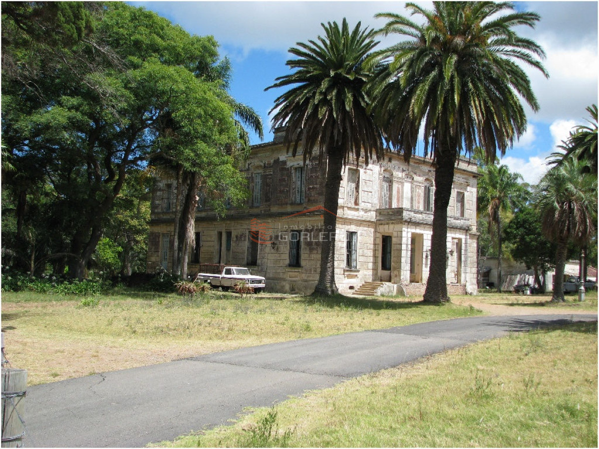 Chacra en    Punta del Este - GoPunta - Portal Inmobiliario de Punta del Este - Maldonado