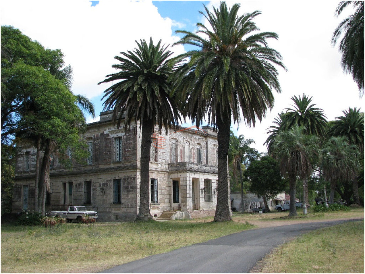 Chacra en    Punta del Este - GoPunta - Portal Inmobiliario de Punta del Este - Maldonado
