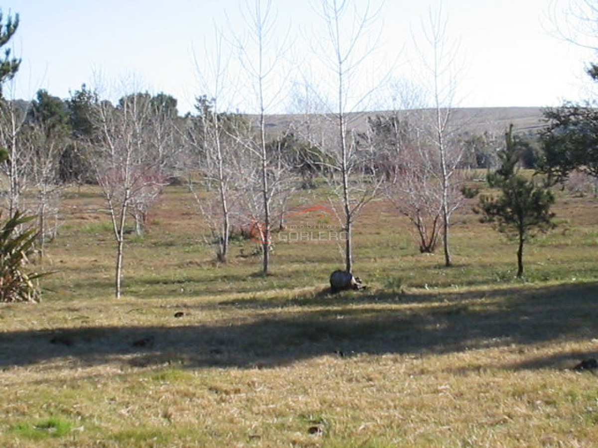 COSTA ARROYO JOSE IGNACIO - GoPunta - Portal Inmobiliario de Punta del Este - Maldonado