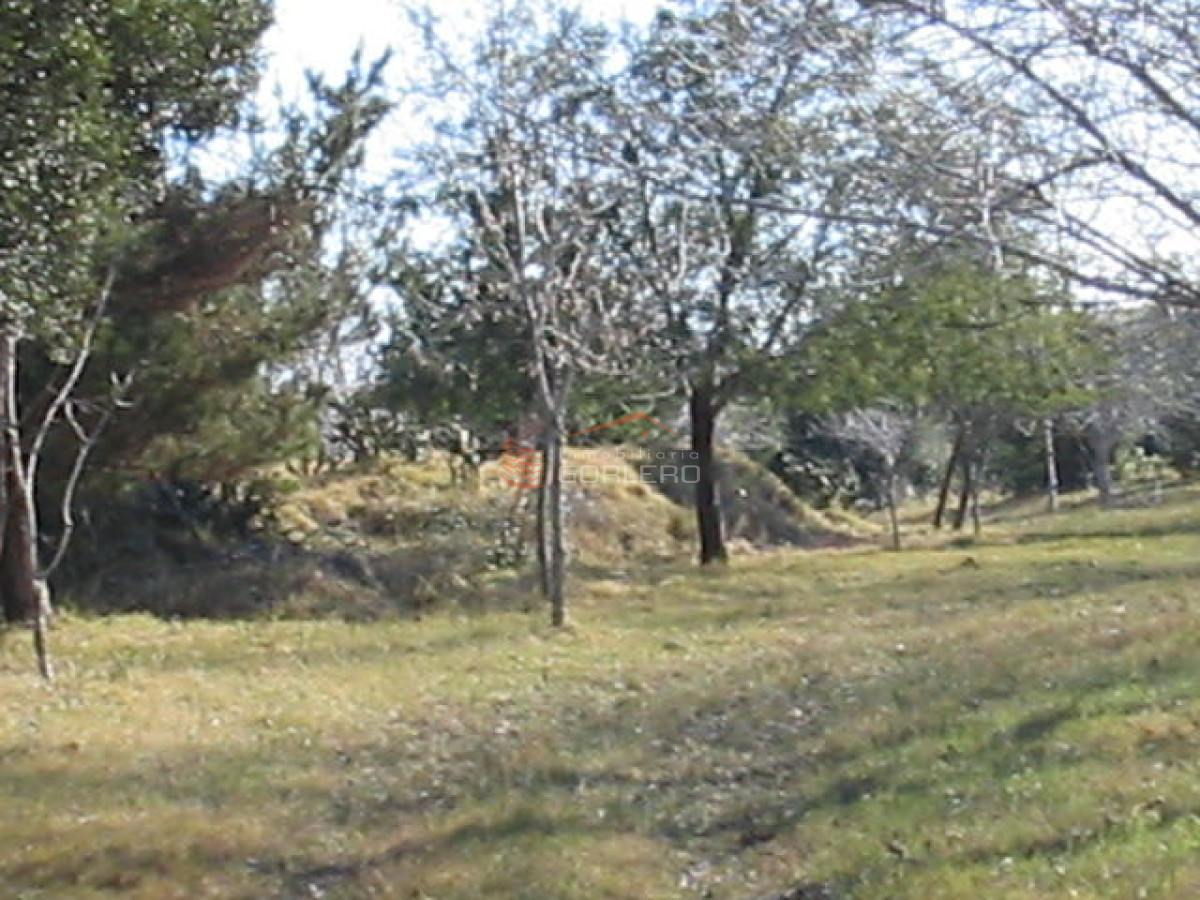 COSTA ARROYO JOSE IGNACIO - GoPunta - Portal Inmobiliario de Punta del Este - Maldonado
