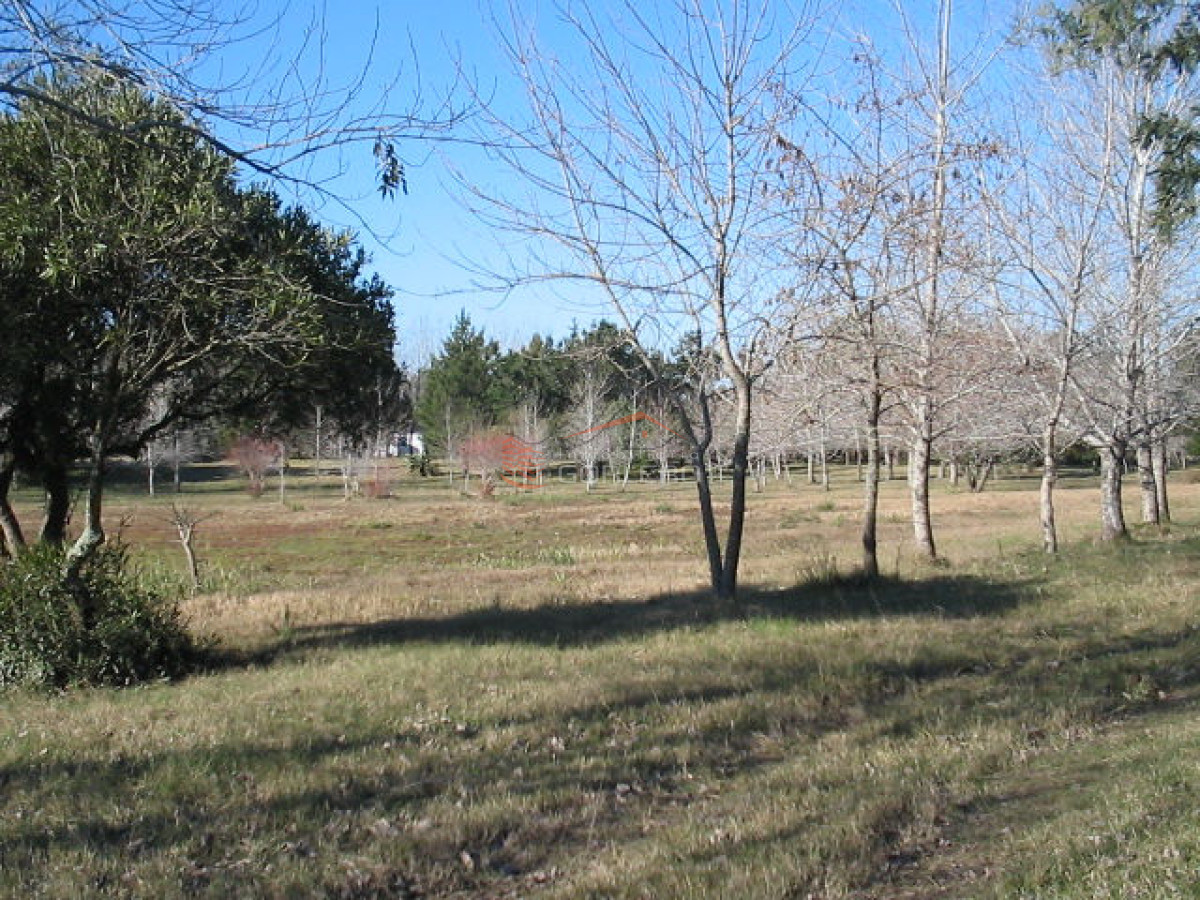 COSTA ARROYO JOSE IGNACIO - GoPunta - Portal Inmobiliario de Punta del Este - Maldonado