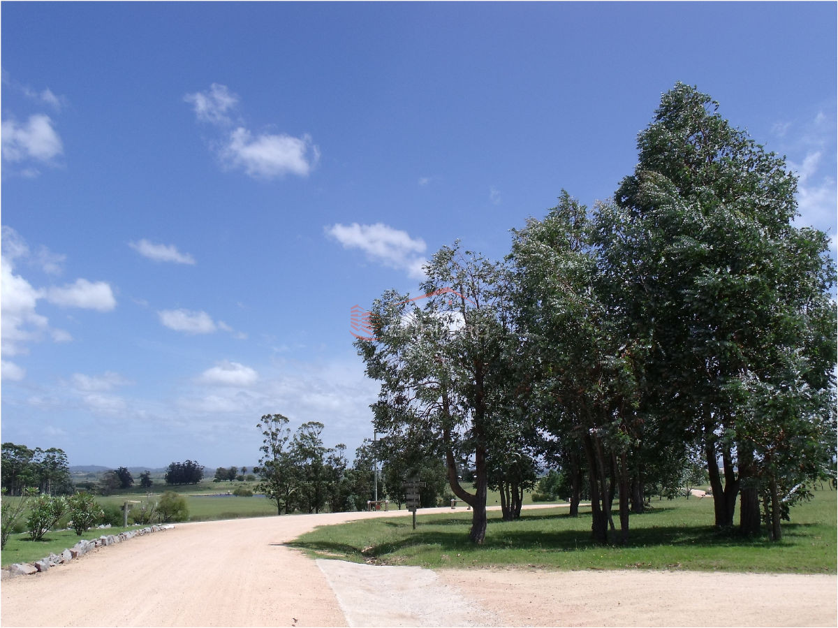 Terreno en Venta en Punta del Este, La Barra, Barrio privado El Quijote - GoPunta - Portal Inmobiliario de Punta del Este - Maldonado