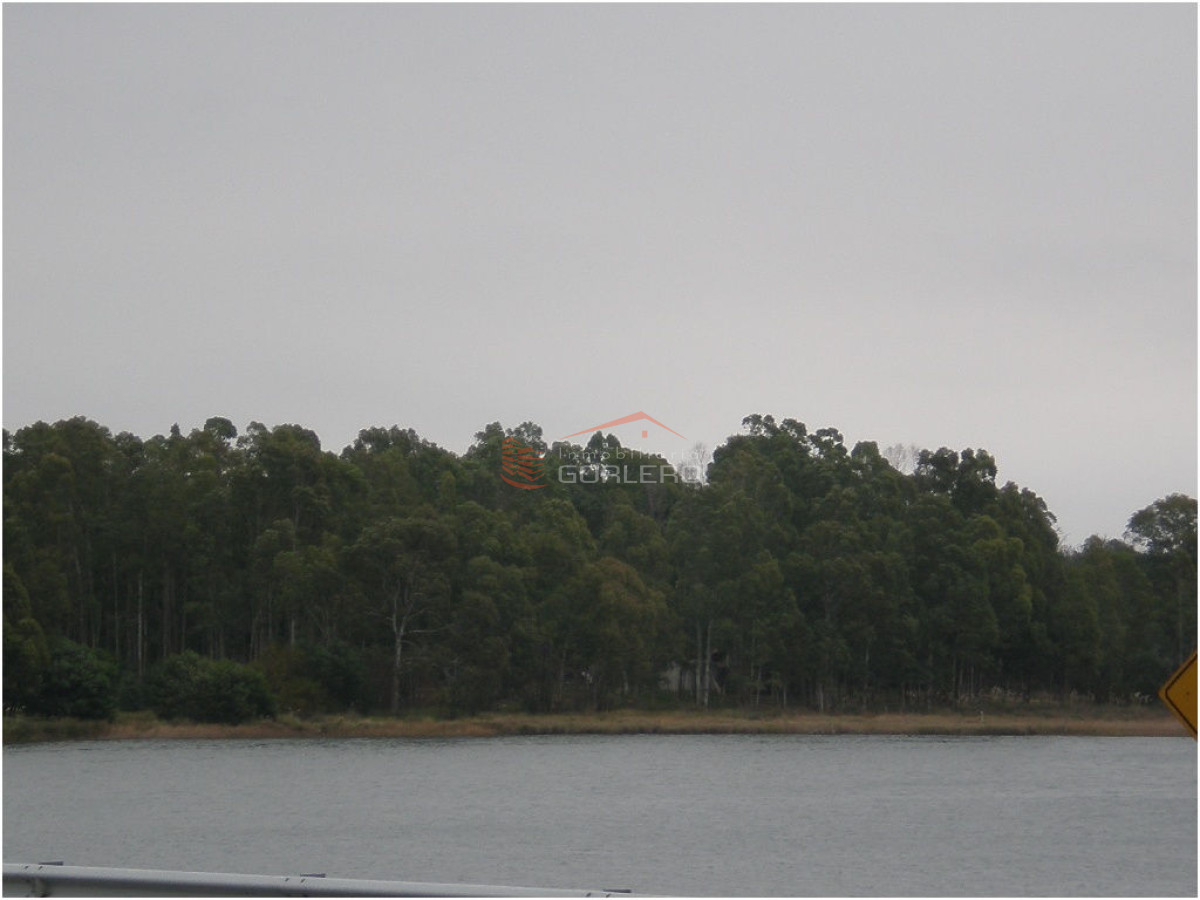 VENTA DE CHACRA DE 11 HAS - GoPunta - Portal Inmobiliario de Punta del Este - Maldonado
