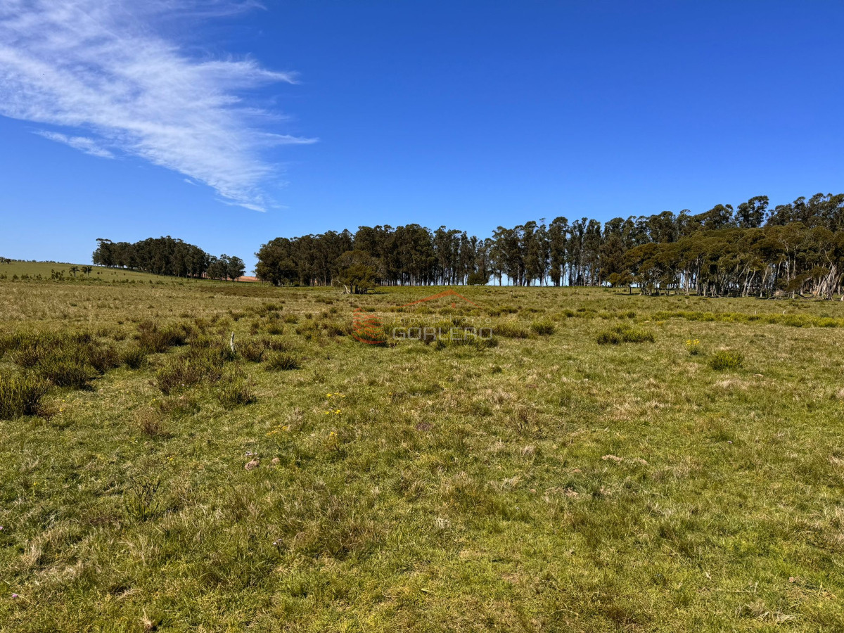 Las Garzas - GoPunta - Portal Inmobiliario de Punta del Este - Maldonado