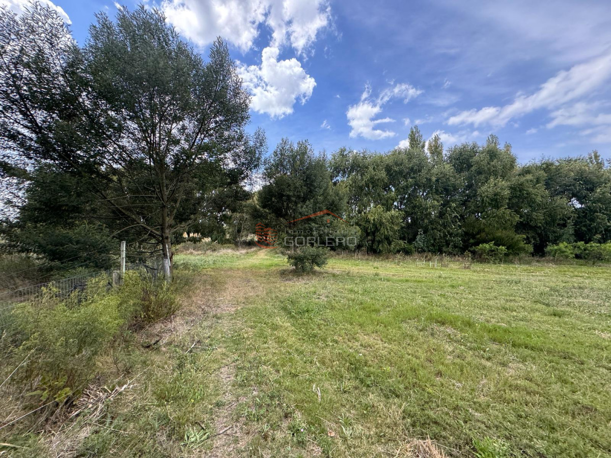 Laguna de los Cisnes - GoPunta - Portal Inmobiliario de Punta del Este - Maldonado