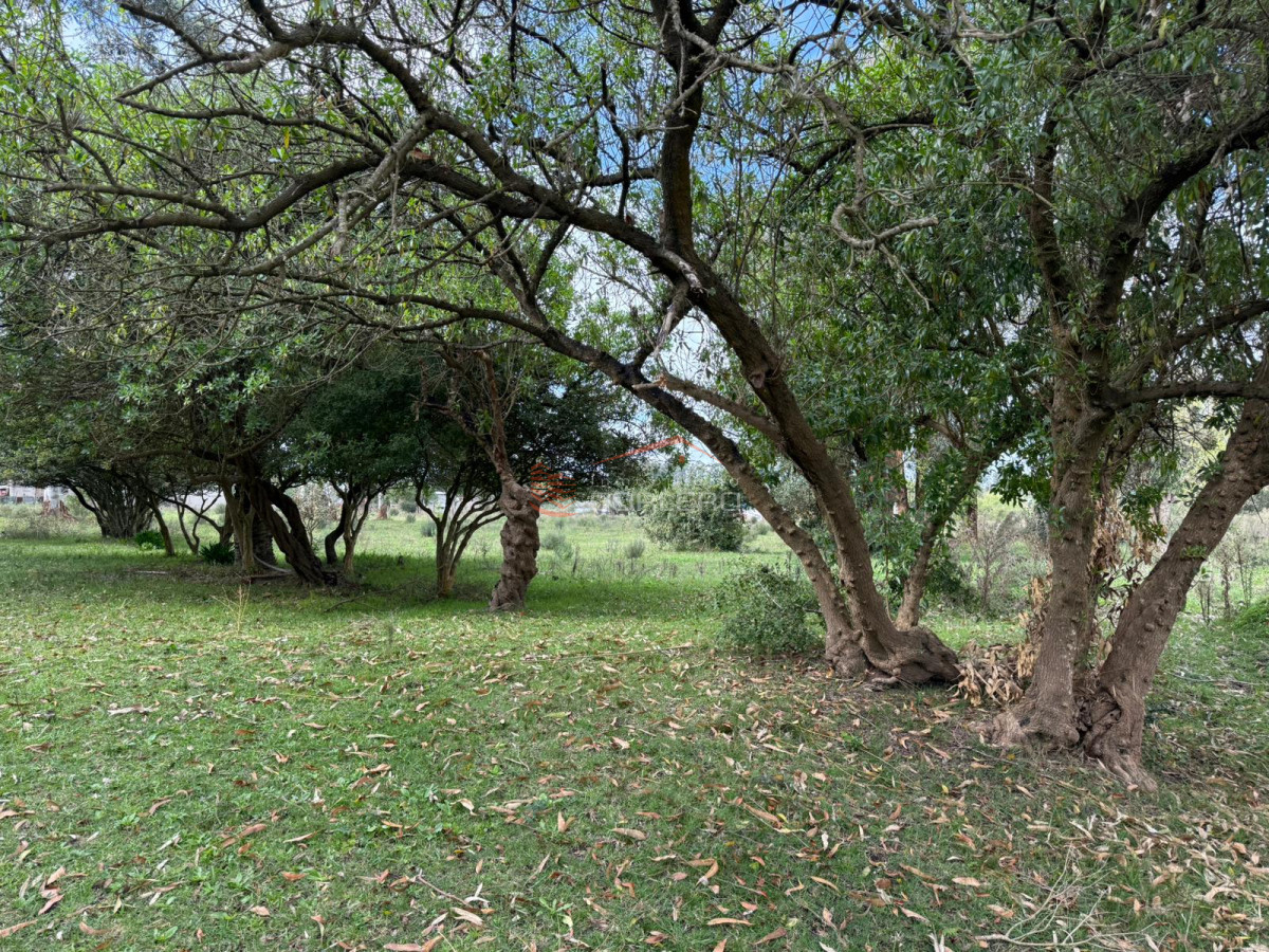 Rocha - GoPunta - Portal Inmobiliario de Punta del Este - Maldonado