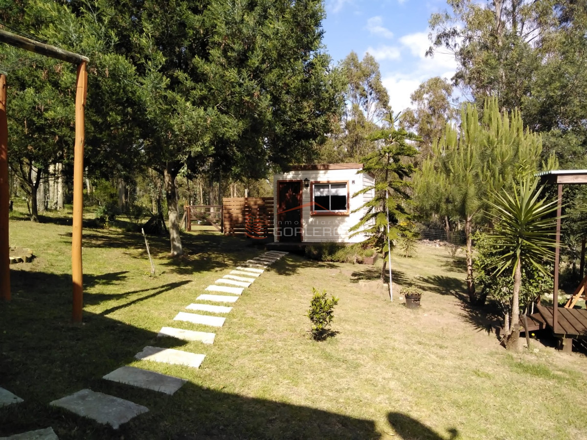 Ruta 60 - GoPunta - Portal Inmobiliario de Punta del Este - Maldonado