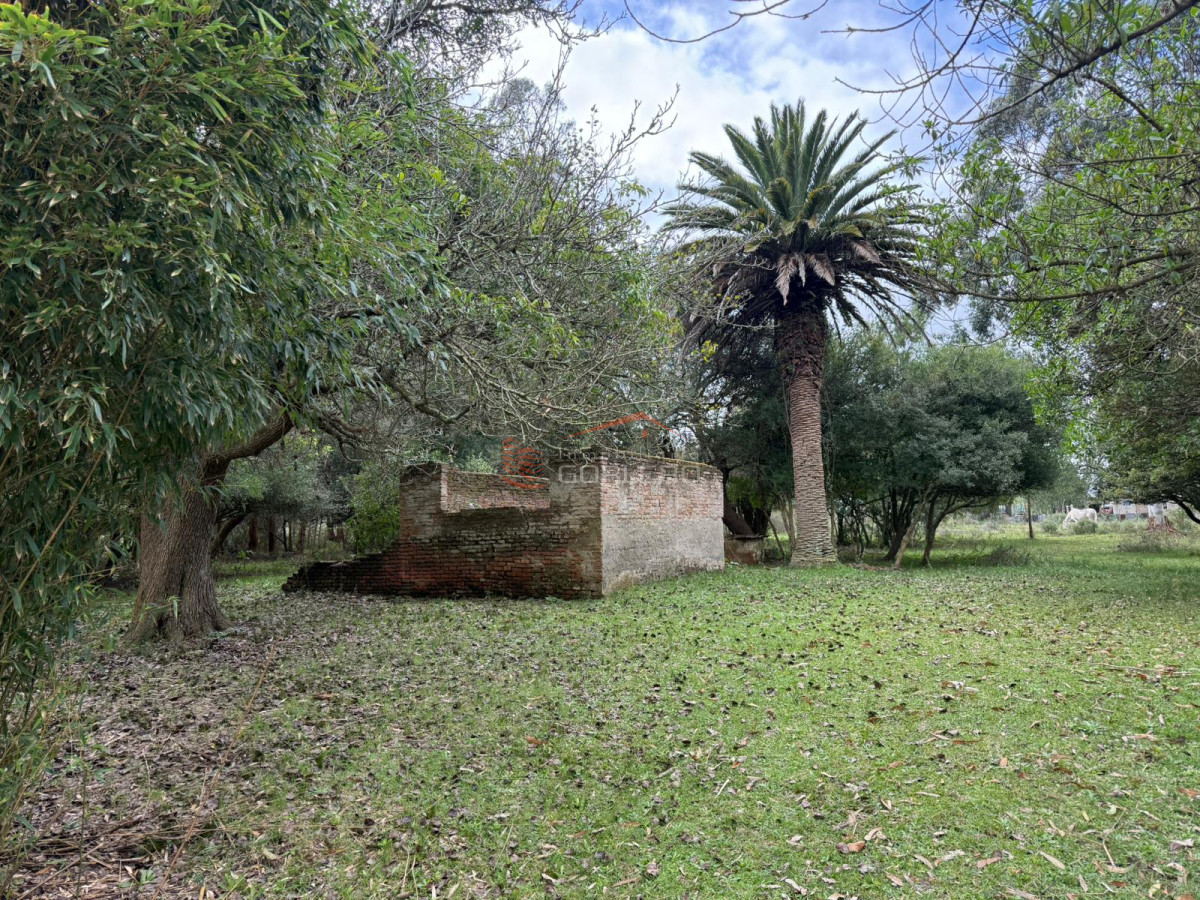 Rocha - GoPunta - Portal Inmobiliario de Punta del Este - Maldonado