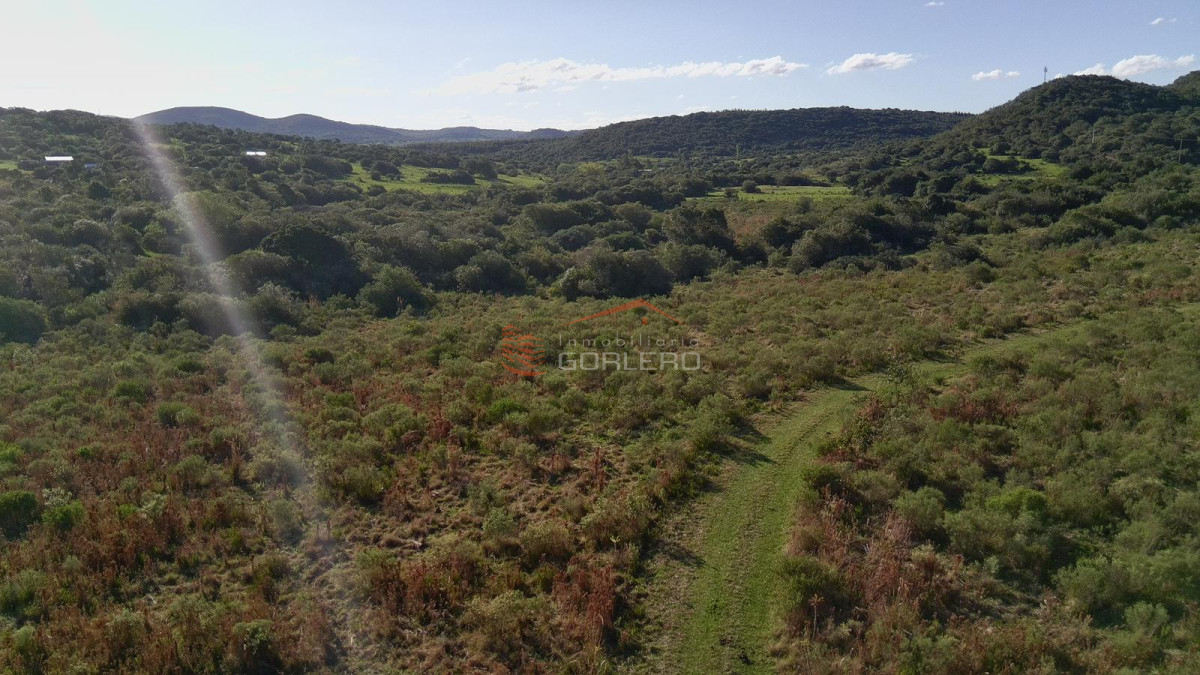 Zona Rural - GoPunta - Portal Inmobiliario de Punta del Este - Maldonado