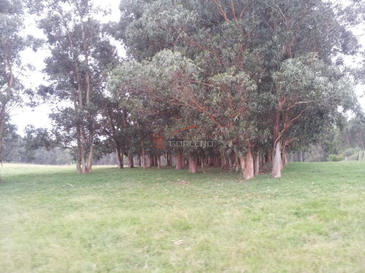 Las Garzas - GoPunta - Portal Inmobiliario de Punta del Este - Maldonado