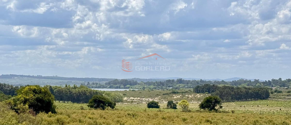 Laguna de los Cisnes - GoPunta - Portal Inmobiliario de Punta del Este - Maldonado