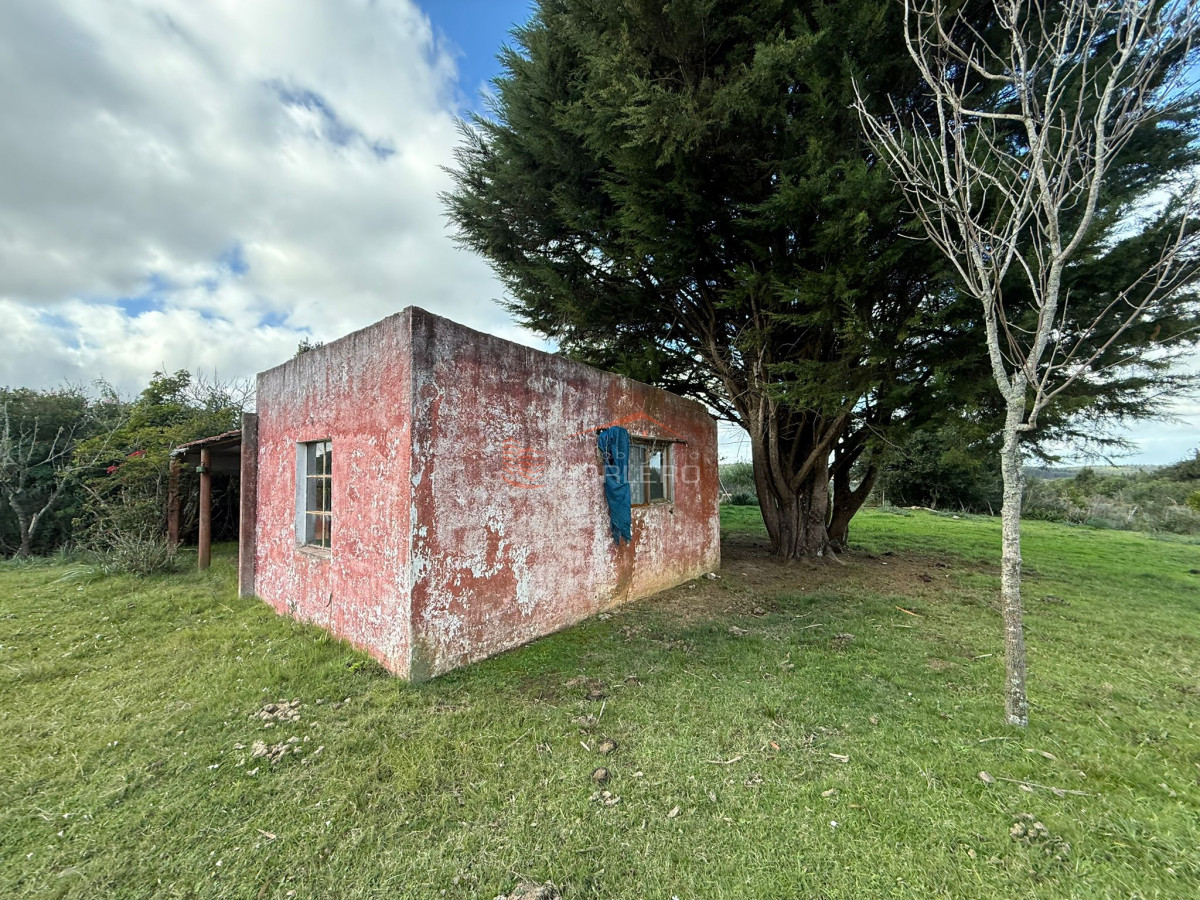 Zona Rural - GoPunta - Portal Inmobiliario de Punta del Este - Maldonado