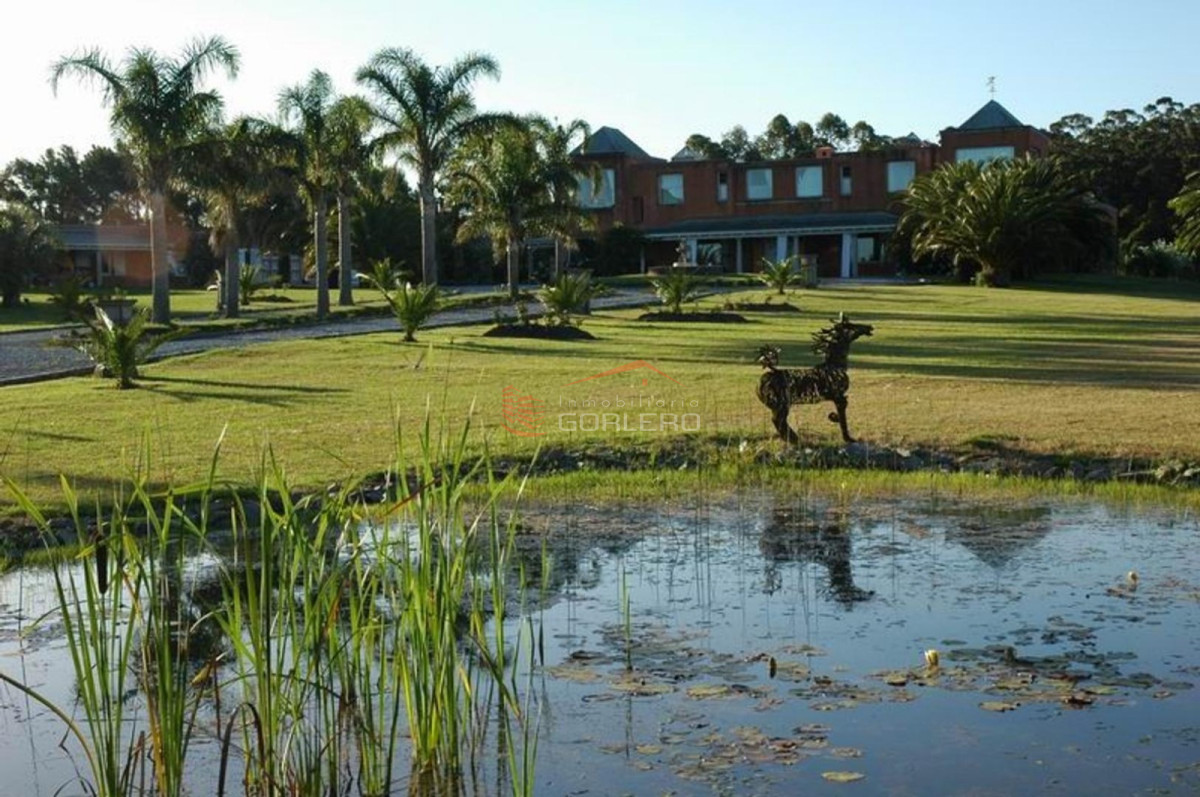 Mangrullos de Punta Piedras - GoPunta - Portal Inmobiliario de Punta del Este - Maldonado