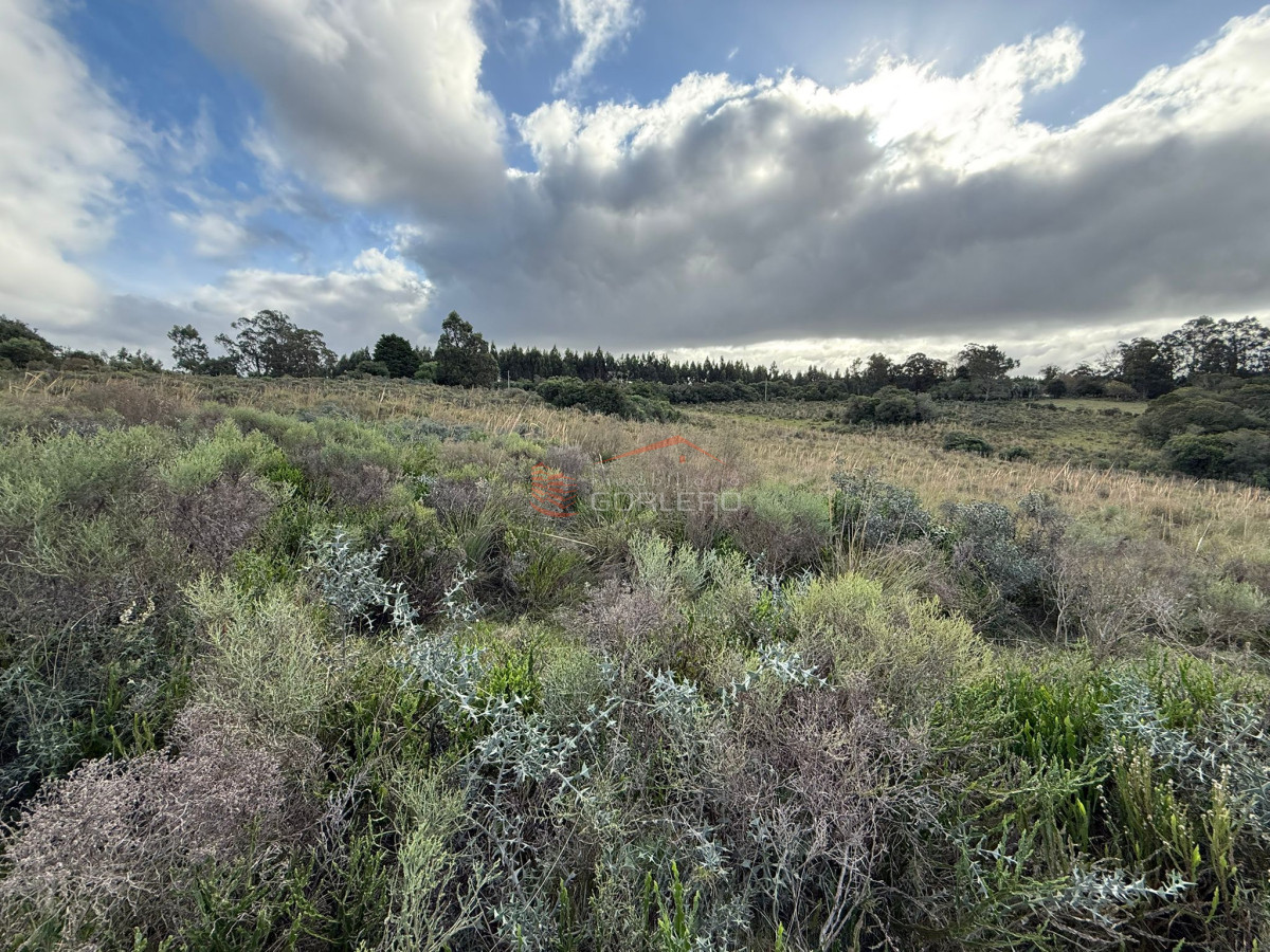 Zona Rural - GoPunta - Portal Inmobiliario de Punta del Este - Maldonado