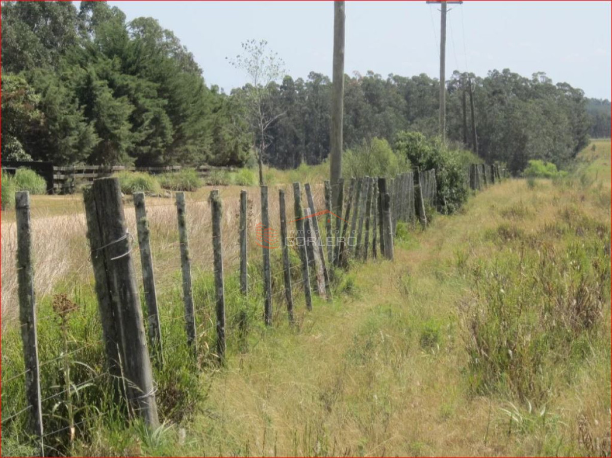Camino Eguzquiza - GoPunta - Portal Inmobiliario de Punta del Este - Maldonado