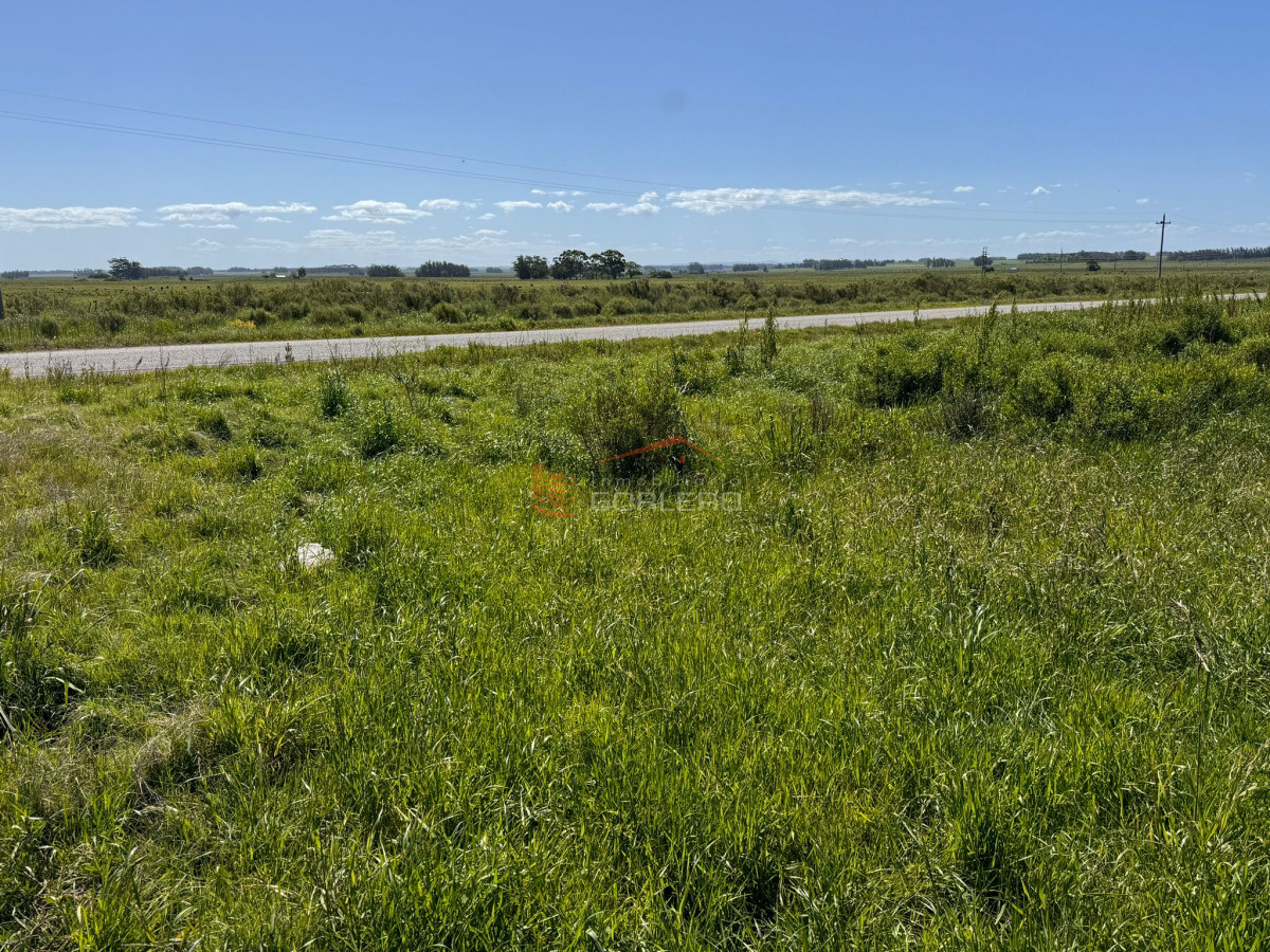 Las Garzas - GoPunta - Portal Inmobiliario de Punta del Este - Maldonado