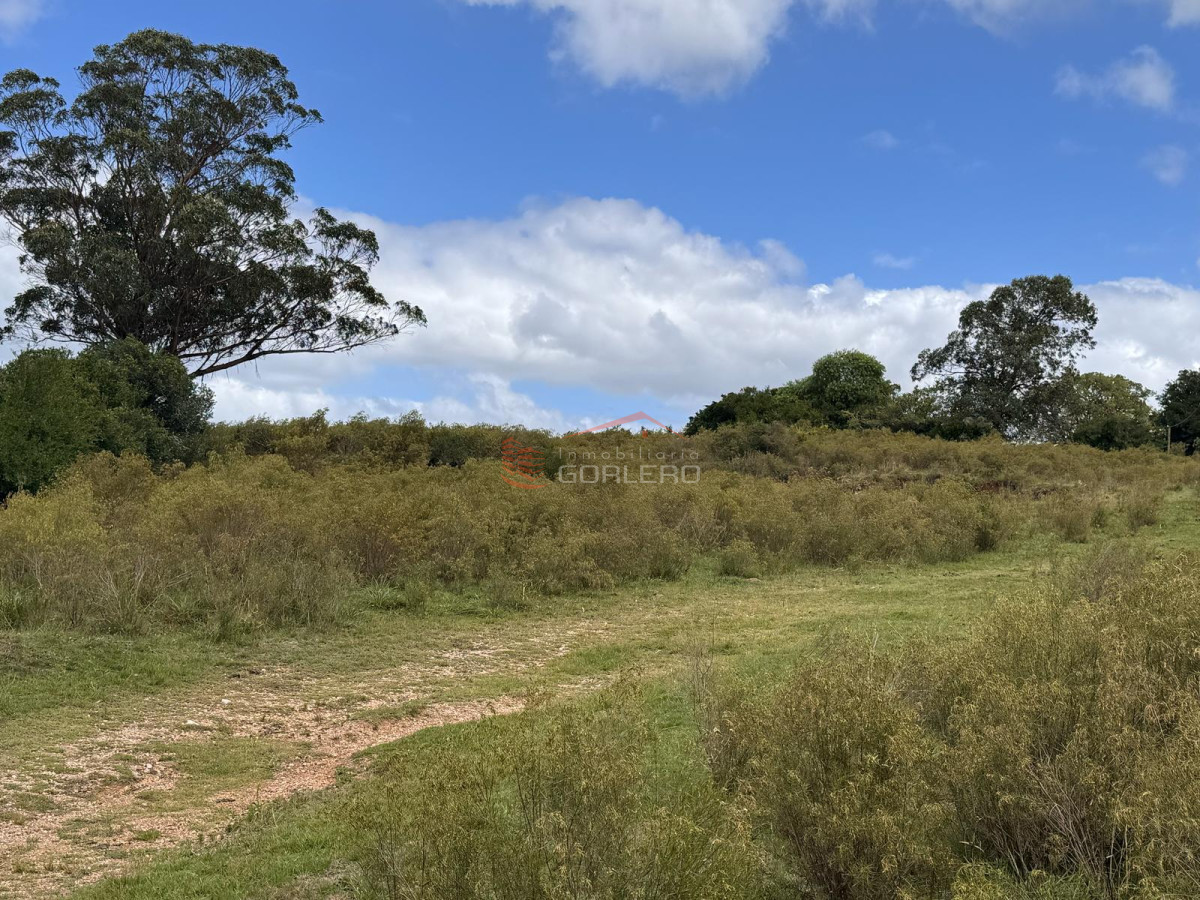 Lavalleja, 23 hás con cañada y tapera a poco de Minas - GoPunta - Portal Inmobiliario de Punta del Este - Maldonado