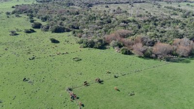 Venta de Chacra de 5 hás en Maldonado 