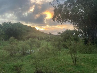 Venta de Chacra en Rocha 7 hás 6812 m2