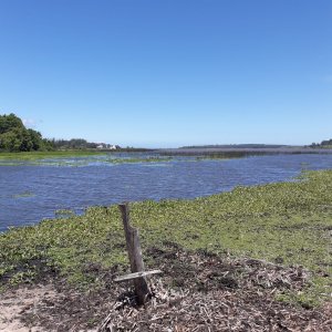 Venta de fracción en Laguna del Sauce