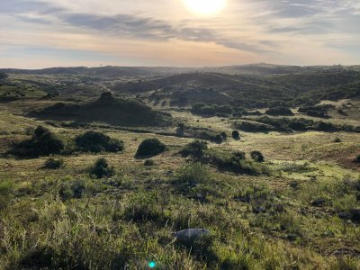 Espectacular opción!!! Venta de Chacra con Arroyo, 5 hás a pocos km de Minas, Lavalleja