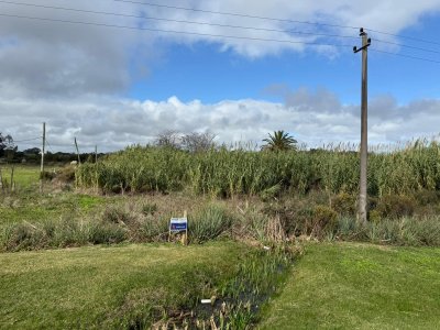 CAMPO EN URUGUAY, ROCHA