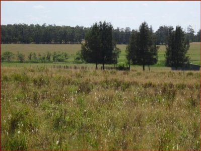 Venta de Espectacular chacra de 16 has al norte de La Barra!!