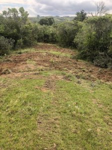 Venta de chacra en Rocha, 22 has ganaderas con potencial