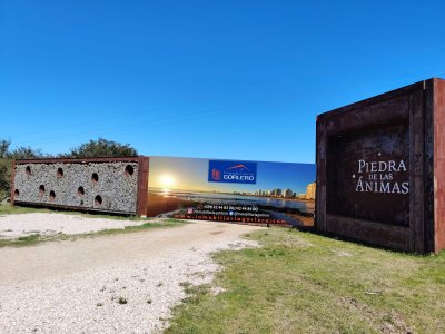 Chacra en Uruguay, Ruta 60 a menos de 1 hora de Mdeo, RUta 60, Vistas, Monte Nativo