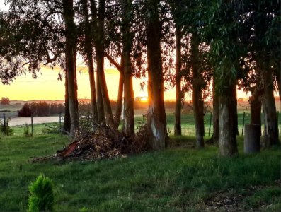 Venta de Chacra en Maldonado a 35 km de Punta del Este