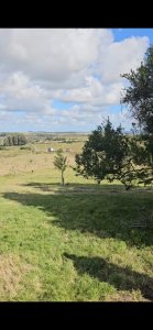 Chacra de 5 hs proxima a Pan de Azucar 