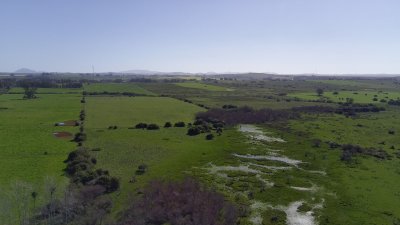 Venta de Chacra de 5 hás - Maldonado