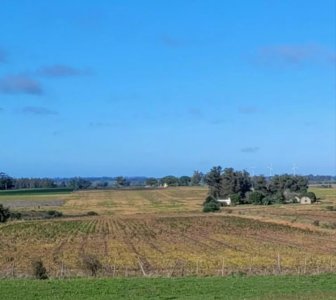 San José, Venta de chacra con gran potencial, 5 hás sobre Ruta 1