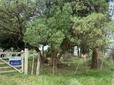 CHACRAS EN URUGUAY, ROCHA