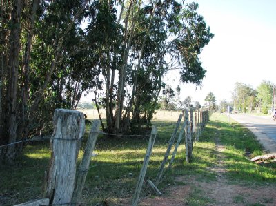 CHACRA EN VENTA EN SAN CARLOS